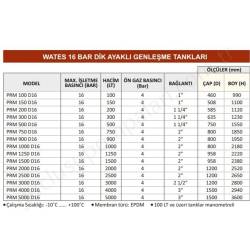 Wates 300 Lt 16 Bar Ayaklı Dikey Genleşme Tankı resim2