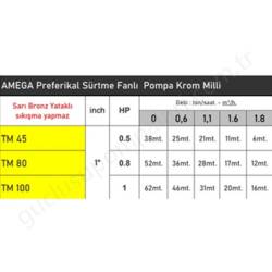 Amega Tm100 1 Hp 220V Preferikal Pompa resim2