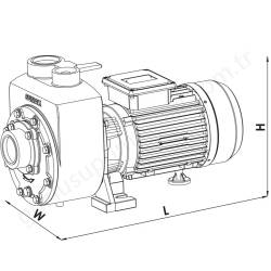 Sumak Dsmt300/2 3 Hp 380V Kendinden Klapeli Pompa  resim4