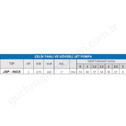 Nortek Jsp-Inox 1 Hp 220V Paslanmaz Jet Pompa resim2