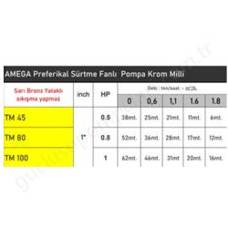 Amega Tm80 0.8 Hp 220V Preferikal Pompa resim2