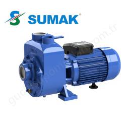 Sumak Dsm300/2 3 Hp 220V Kendinden Klapeli Pompa  resim1