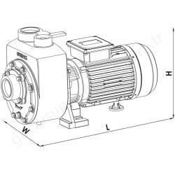 Sumak Dsm300/2 3 Hp 220V Kendinden Klapeli Pompa  resim4