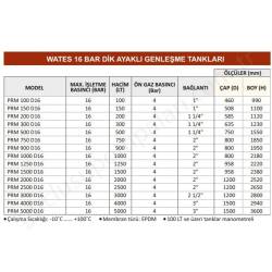 Wates 100 Lt 16 Bar Ayaklı Dikey Genleşme Tankı resim2