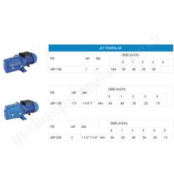 Nortek Jsp200 2 Hp 220V Jet Pompa resim2