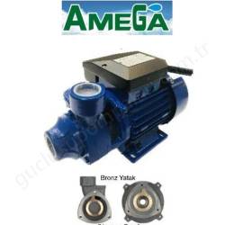 Amega Tm80 0.8 Hp 220V Preferikal Pompa resim1