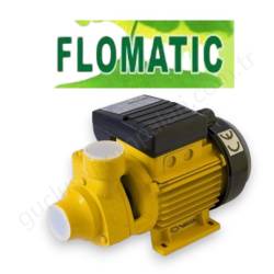 Flomatic Pm45 0.5 Hp 220V Preferikal Pompa resim1