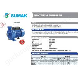 Sumak Smt150A 1.5 Hp 380V A.çarklı Santrifüj Pompa resim2